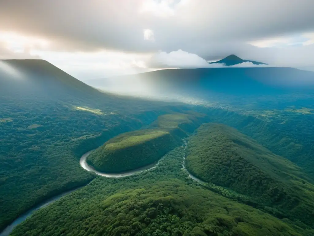 Un majestuoso paisaje de la exuberante selva salvadoreña, destacando la diversa vegetación verde, ríos sinuosos y fauna exótica