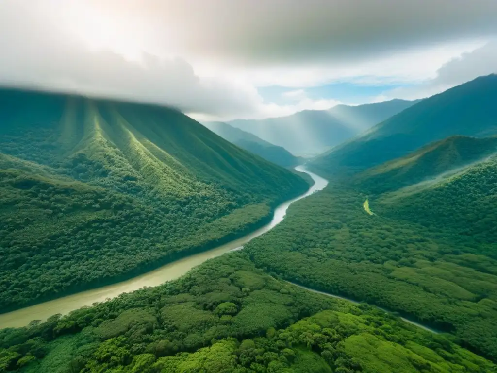 Vista aérea de exuberante selva en Costa Rica, con río serpenteante y montañas cubiertas de neblina